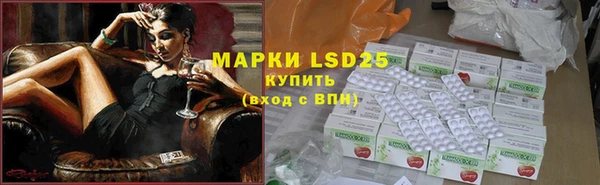 амф Алзамай