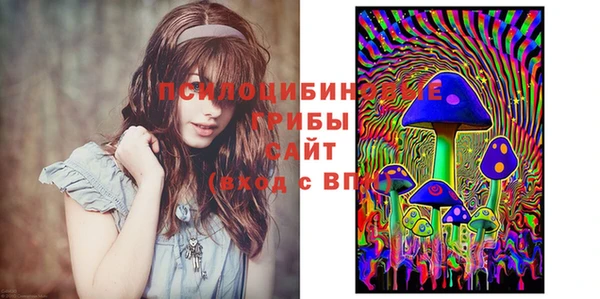 не бодяженный Абаза