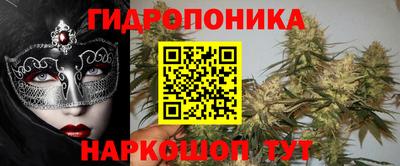 спиды Камень-на-Оби