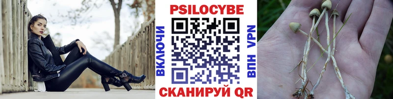 Галлюциногенные грибы мицелий  где найти наркотики  Краснокамск 