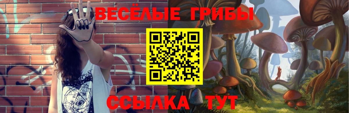 Краснокамск  Галлюциногенные грибы мицелий  Вход с VPN 